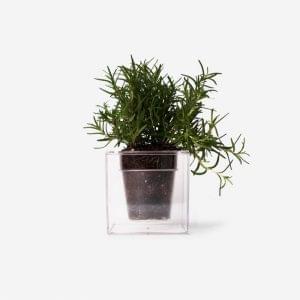 Scented Soy Candle - Jasmine & Oud